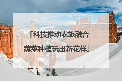 科技推动农旅融合 蔬菜种植玩出新花样
