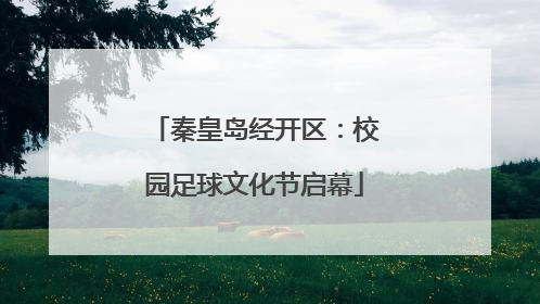 秦皇岛经开区：校园足球文化节启幕