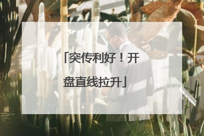 突传利好！开盘直线拉升
