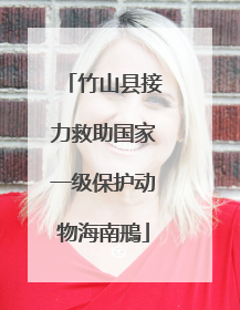竹山县接力救助国家一级保护动物海南鳽