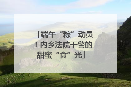 端午“粽”动员！内乡法院干警的甜蜜“食”光