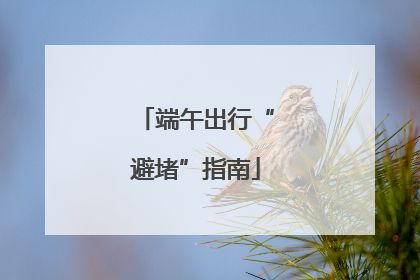 端午出行“避堵”指南
