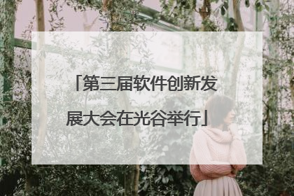 第三届软件创新发展大会在光谷举行