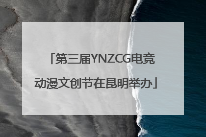 第三届YNZCG电竞动漫文创节在昆明举办