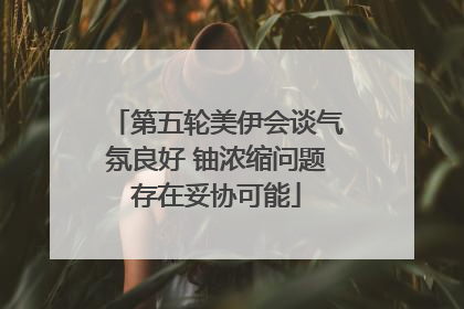 第五轮美伊会谈气氛良好 铀浓缩问题存在妥协可能