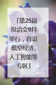 第25届投洽会9月举行，首设低空经济、人工智能等专区