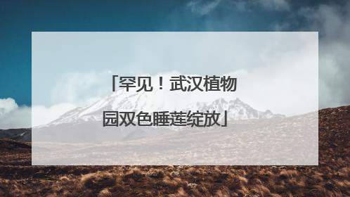罕见！武汉植物园双色睡莲绽放