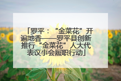 罗平：“金菜花”开遍地香——罗平县创新推行“金菜花”人大代表议事会履职行动