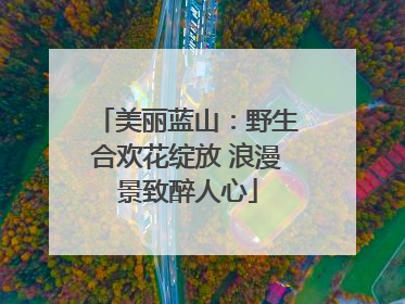 美丽蓝山：野生合欢花绽放 浪漫景致醉人心