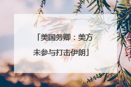 美国务卿：美方未参与打击伊朗