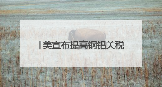 美宣布提高钢铝关税至50% 欧盟：深表遗憾 将继续谈判