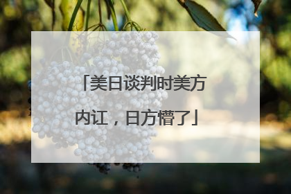 美日谈判时美方内讧，日方懵了