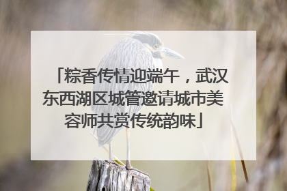 粽香传情迎端午，武汉东西湖区城管邀请城市美容师共赏传统韵味