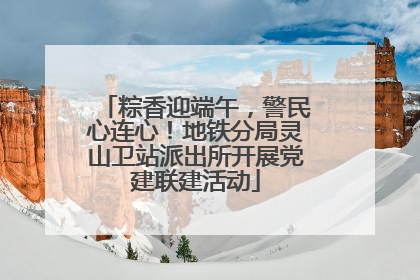 粽香迎端午，警民心连心！地铁分局灵山卫站派出所开展党建联建活动
