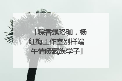 粽香飘珞珈，杨红梅工作室别样端午情暖藏族学子