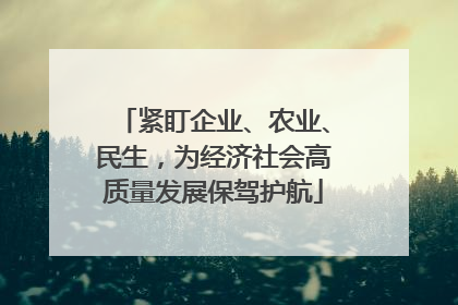 紧盯企业、农业、民生，为经济社会高质量发展保驾护航