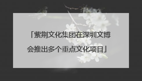 紫荆文化集团在深圳文博会推出多个重点文化项目