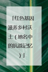 红色基因滋养乡村沃土（地名中的抗战记忆）