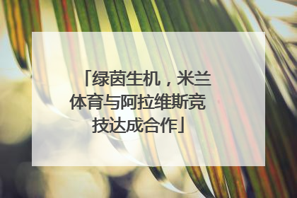 绿茵生机，米兰体育与阿拉维斯竞技达成合作