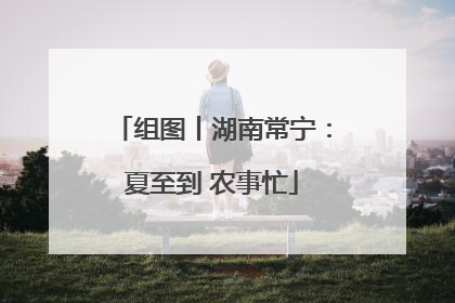 组图丨湖南常宁：夏至到 农事忙