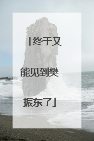终于又能见到樊振东了