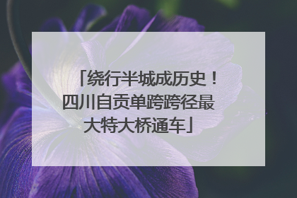 绕行半城成历史！四川自贡单跨跨径最大特大桥通车
