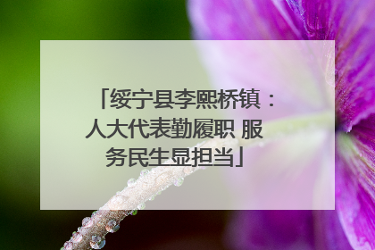 绥宁县李熙桥镇：人大代表勤履职 服务民生显担当