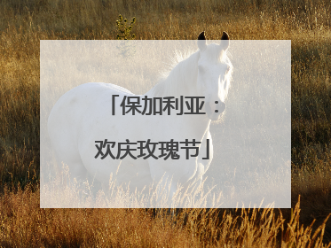 保加利亚：欢庆玫瑰节