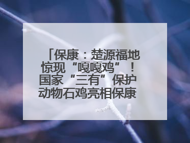 保康：楚源福地惊现“嘎嘎鸡”！国家“三有”保护动物石鸡亮相保康沿河公园