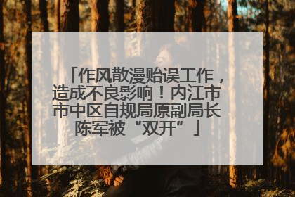 作风散漫贻误工作，造成不良影响！内江市市中区自规局原副局长陈军被“双开”