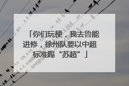 你们玩梗，我去鲁能进修，徐州队要以中超标准踢“苏超”