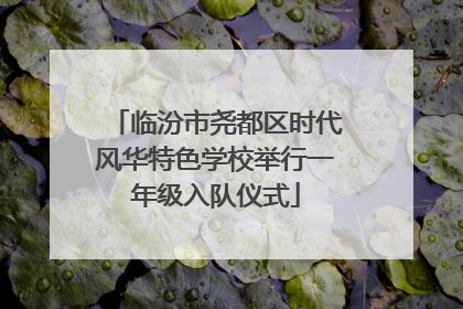 临汾市尧都区时代风华特色学校举行一年级入队仪式