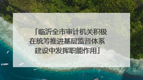 临沂全市审计机关积极在统筹推进基层监督体系建设中发挥职能作用