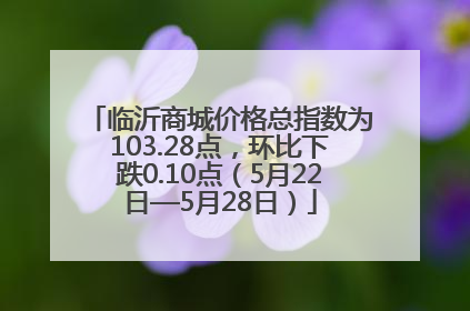 临沂商城价格总指数为103.28点，环比下跌0.10点（5月22日—5月28日）