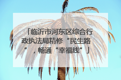 临沂市河东区综合行政执法局精修“民生路”，畅通“幸福线”