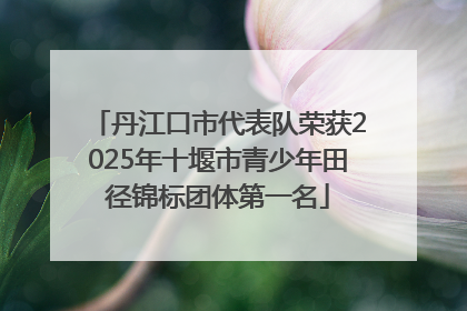 丹江口市代表队荣获2025年十堰市青少年田径锦标团体第一名
