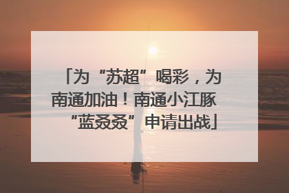 为“苏超”喝彩，为南通加油！南通小江豚“蓝叒叒”申请出战