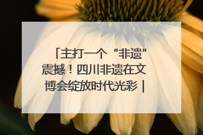 主打一个“非遗”震撼！四川非遗在文博会绽放时代光彩｜文博向“新”