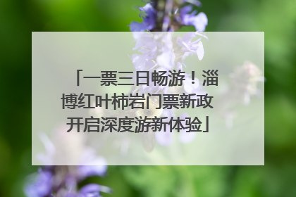一票三日畅游！淄博红叶柿岩门票新政开启深度游新体验