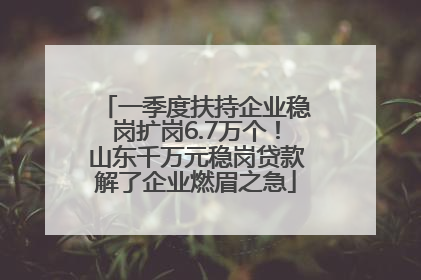 一季度扶持企业稳岗扩岗6.7万个！山东千万元稳岗贷款解了企业燃眉之急