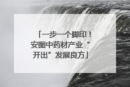 一步一个脚印！安图中药材产业“开出”发展良方