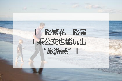 一路繁花一路景！乘公交也能玩出“旅游感”