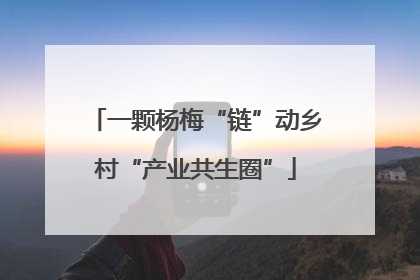 一颗杨梅“链”动乡村“产业共生圈”