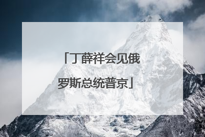 丁薛祥会见俄罗斯总统普京