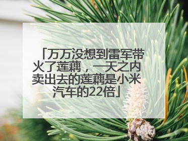 万万没想到雷军带火了莲藕，一天之内卖出去的莲藕是小米汽车的22倍