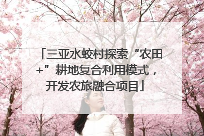 三亚水蛟村探索“农田+”耕地复合利用模式，开发农旅融合项目