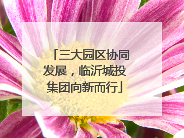 三大园区协同发展，临沂城投集团向新而行