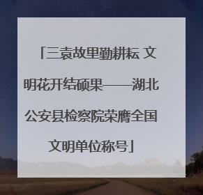 三袁故里勤耕耘 文明花开结硕果——湖北公安县检察院荣膺全国文明单位称号