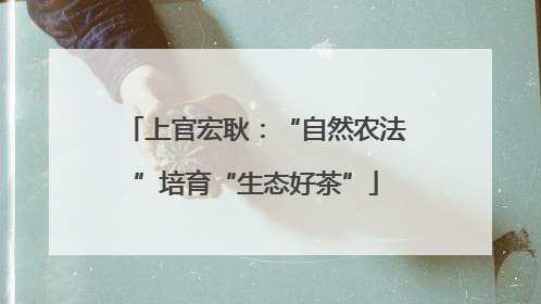 上官宏耿：“自然农法”培育“生态好茶”