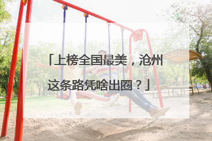 上榜全国最美，沧州这条路凭啥出圈？